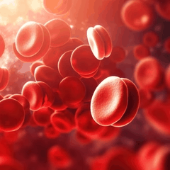Blood glucose support